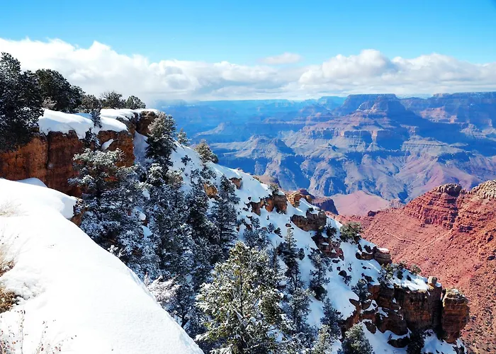 Ponderosa Escape Stunning Location Incredible Game Urban Trail System Ac Ev-charger * Flagstaff