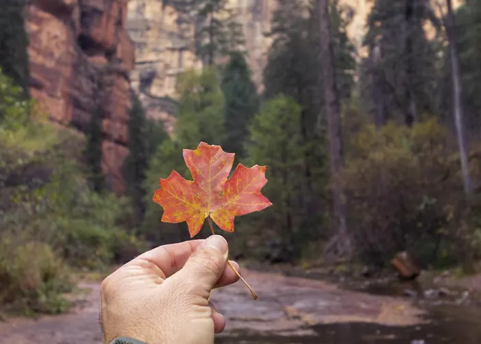 Ponderosa Escape Stunning Location Incredible Game Urban Trail System Ac Ev-charger *